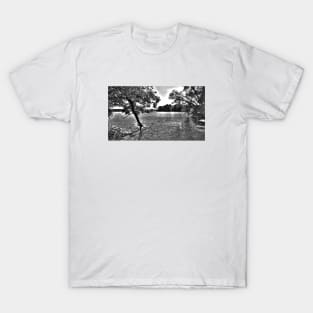 Tree in a Lake Black and White Digital Pencil Drawing T-Shirt